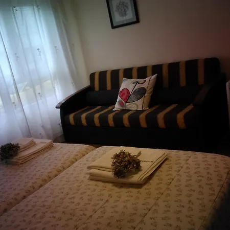 O Cantino *